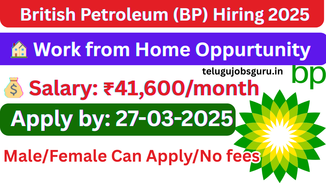 BP Hiring 2025 – Customer Service Lead – Work from Home